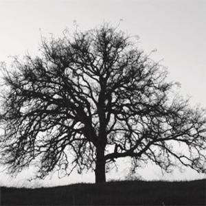 10563009_10204619914276405_6237848768087125705_n