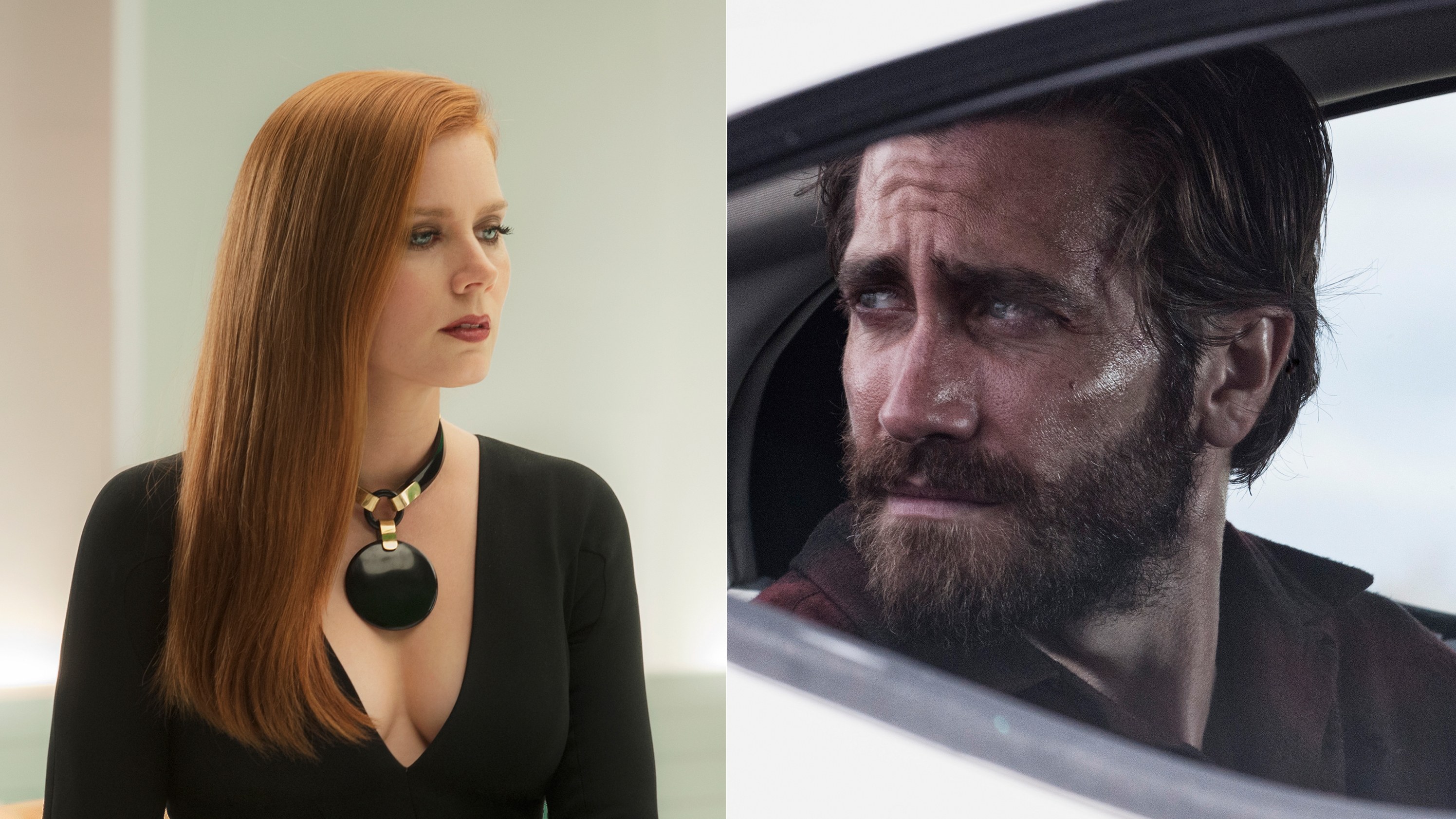 nocturnal-animals-trailer